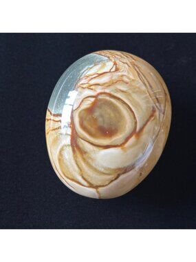 Polychrome Jasper Palm Stone Desert Polished Pocket Worry Crystal Brown